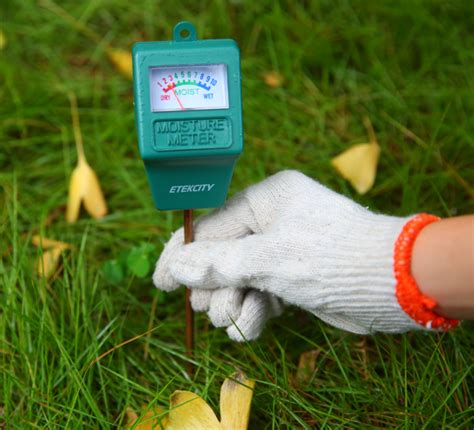 custom etekcity moisture meter|moisture meter for plants.